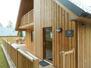 Lord Galloway 36 with Hot Tub - Newton Stewart - 4