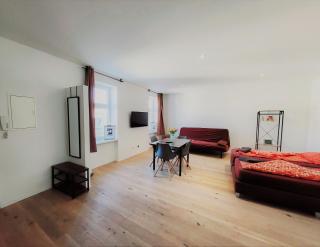 Apartment Hasengasse - Free Highspeed-Internet - Vienna - 8