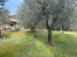 Villa Sweet Flower - with Private Pool and Garden - 3
