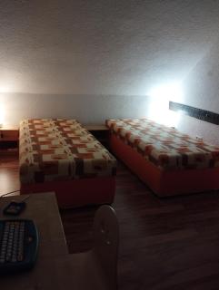 Ferienwohnung mit Elbwiesenblick - Lutherstadt Wittenberg - 9
