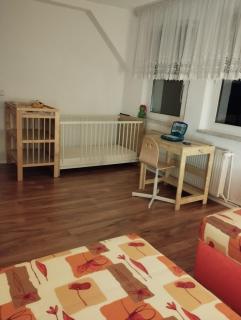 Ferienwohnung mit Elbwiesenblick - Lutherstadt Wittenberg - 8