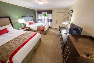 Ramada by Wyndham Houston Intercontinental Airport East - 1