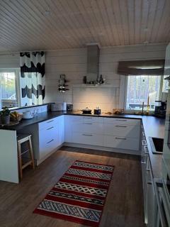 Blueberry Hill with car rental - Raanujärvi - 1