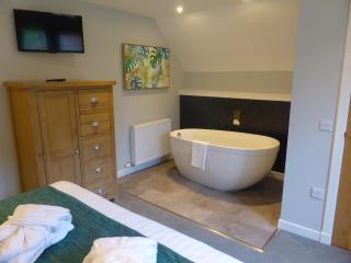 Lord Galloway 37 with Hot Tub - 6