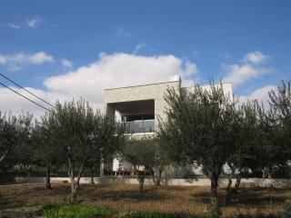Olives Garden - 8
