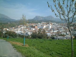 La Molina Del Olivar - Peaceful Location - Ríogordo - 6