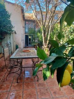 Un petit oasis en plein centre de Céret. - Céret - 8