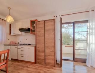 Santo - Novigrad - 4