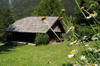 Chalet Wildgall - Anterselva di Mezzo - 2