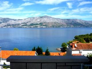 Apartment in Postira with sea view, terrace, air conditioning, WiFi 5124-1 - Postira - 1