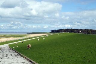 Ferienhaus Raue, FeWo Vermittlung Nordsee - Dangast - 9