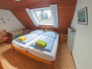 Ferienhaus Seedeich, FeWo Vermittlung Nordsee - Dangast - 2