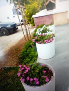 Apartmani Trubi 1 - 4