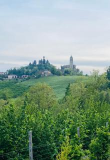 Palazzo Motta - MonferratoHome - Vignale Monferrato - 3