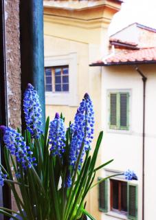 Appartamento in via San Gallo - Florenz - 4