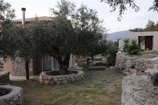 Melolia Estate - Thiva - 1