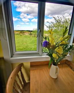 Bluebell Off-Grid Van - Newton Stewart - 7