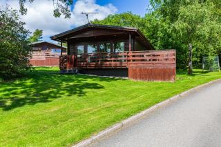 Bluebell Lodge 2 with Hot Tub - Newton Stewart - 6