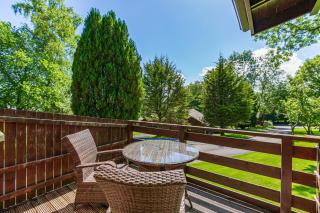 Bluebell Lodge 2 with Hot Tub - Newton Stewart - 5