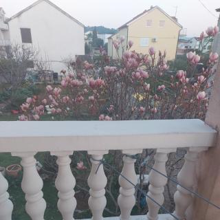 Apartman Iva - Brodarica - 6