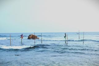 Avin Beach Villa - Unawatuna - 3