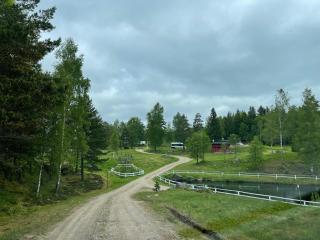 Kvarnsjöns Naturcamping Stuga 3 - Sjötofta - 9