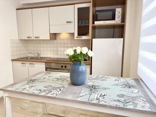 Grand studio confortable au coeur de Cannes - Cannes - 4