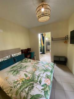 Dazk Golden Estate - Ribeira Brava - 7