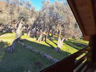 Olive & sea, Luxury two bedrooms cabin for 8 - Ulcinj - 4