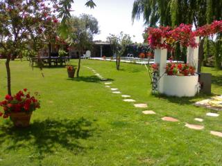 FINCA EL CAMPITO, piscina, bbq, ping-pong, billar, 10 min andando de la playa - Rota - 0
