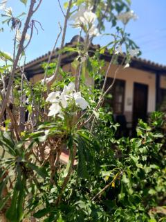 Jilymar Cabaña de descanso, Isla de Barú - Cartagena - 9