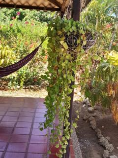 Jilymar Cabaña de descanso, Isla de Barú - Cartagena - 4