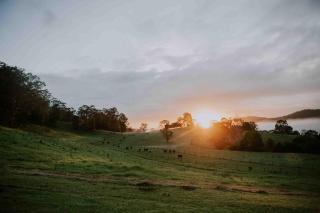 Big Bluff Farm - Grevillia - 3