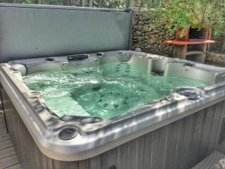 Apartment Ivana with jacuzzi - Vir - 1