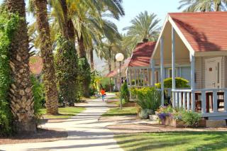 Nir David Country Lodge - Nir Dawid - 4