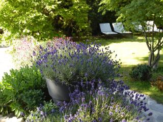 Bed & Breakfast La Clepsydre - Fontenay-aux-Roses - 4