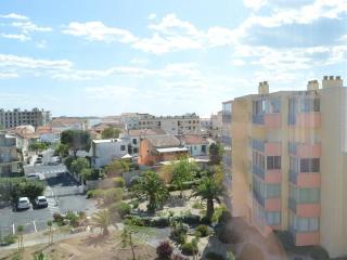 Appartement climatisé 3 pièces, 6 couchages, proche plage et centre, garage inclus - FR-1-250-61 - Le Grau-du-Roi - 3