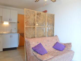 Appartement climatisé 2 pièces, 4 couchages, proche Seaquarium avec parking au Grau-du-Roi - FR-1-250-74 - Le Grau-du-Roi - 6