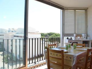 Appartement climatisé 2 pièces, 4 couchages, proche Seaquarium avec parking au Grau-du-Roi - FR-1-250-74 - Le Grau-du-Roi - 3