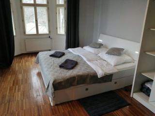 2 Bedrooms close Vyšehrad - Congress centrum - Prague - 6
