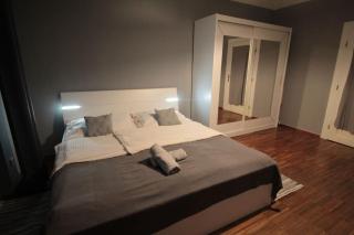 2 Bedrooms close Vyšehrad - Congress centrum - Prague - 5