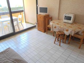 Studio cabine avec terrasse, accès rapide plage et parking privé - Le Grau du Roi - FR-1-250-179 - Le Grau-du-Roi - 7