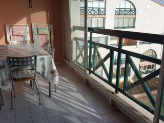 Appartement duplex 3 pièces avec piscine, climatisation et garage à Port Camargue - FR-1-250-192 - Le Grau-du-Roi - 0