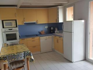 Appartement duplex 3 pièces avec piscine, climatisation et garage à Port Camargue - FR-1-250-192 - Le Grau-du-Roi - 6