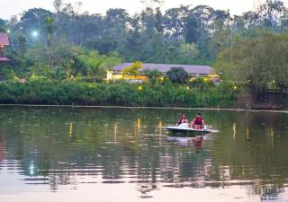 Niyatma Wayanad Pool Resort by VOYE HOMES - Inside Coffee Plantation - 4
