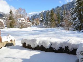 Appart. 2 pièces, 6 couchages, terrasse, garage, Le Grand-Bornand - FR-1-241-27 - Le Grand-Bornand - 4