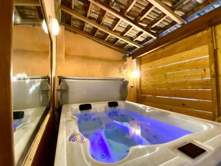 Patio, Jacuzzi Professionnel, Table de Massage, Climatisé, Le Cocon de Pedro - Carcassonne - 0