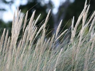 Höllviksnäs möten mat logi - 2