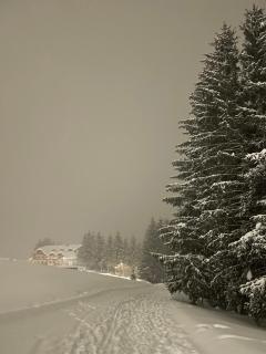 Domček pri lese - 1