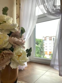 Центр (6). Поруч Став та Парк - 1